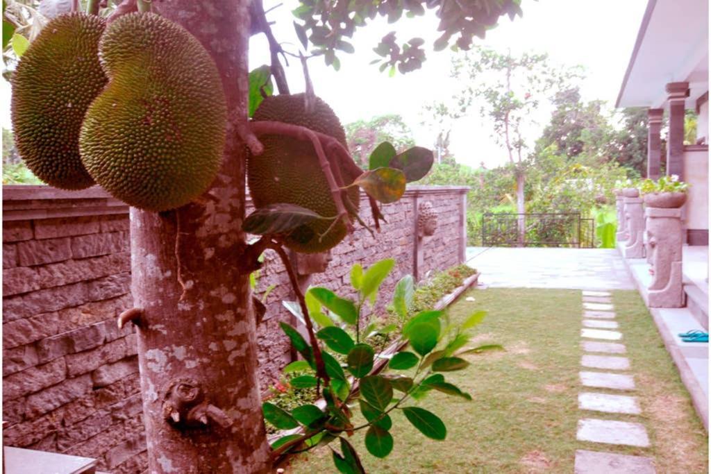 The Lod Villa Ubud Zewnętrze zdjęcie